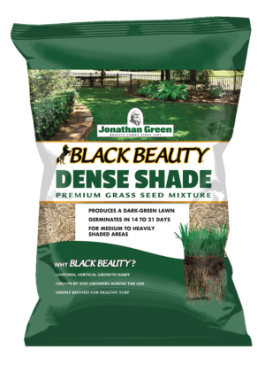 A bag of shade tolerant grass seed labeled "Black Beauty® Dense Shade Grass Seed" by Jonathan Green. It promotes dark-green lawn growth in 14-21 days and is intended for medium to heavily shaded areas.