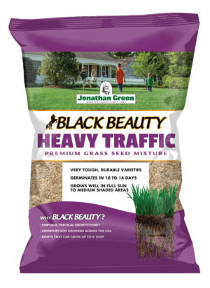 Bag of Black Beauty® Heavy Traffic Grass Seed with an image of a family on their lawn. Text highlights its durability, quick germination, and suitability for sun to medium shaded areas, making it perfect for heavy traffic grass seed needs.