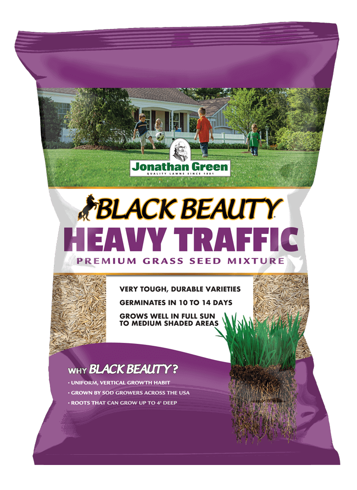 Black Beauty® Heavy Traffic Grass Seed