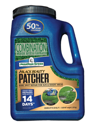 Front_of_Black_Beauty_Patcher_Jug_sized
