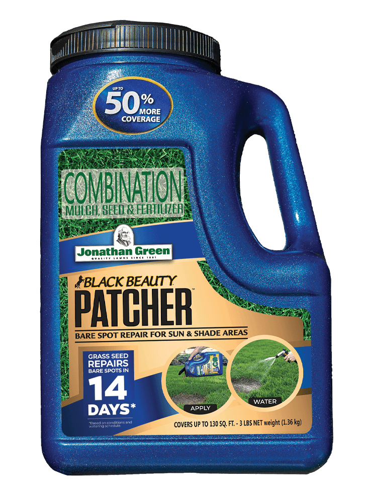Front_of_Black_Beauty_Patcher_Jug_sized