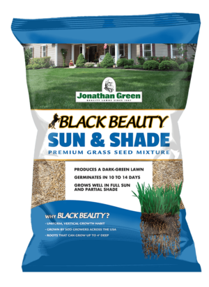 front of Black Beauty Sun and Shade Bag