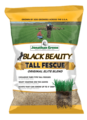 Bag of Black Beauty® Original Tall Fescue Blend seed displays images of lush grass, hardworking individuals, and detailed root visuals. Text highlights features like drought tolerance and tall growth.