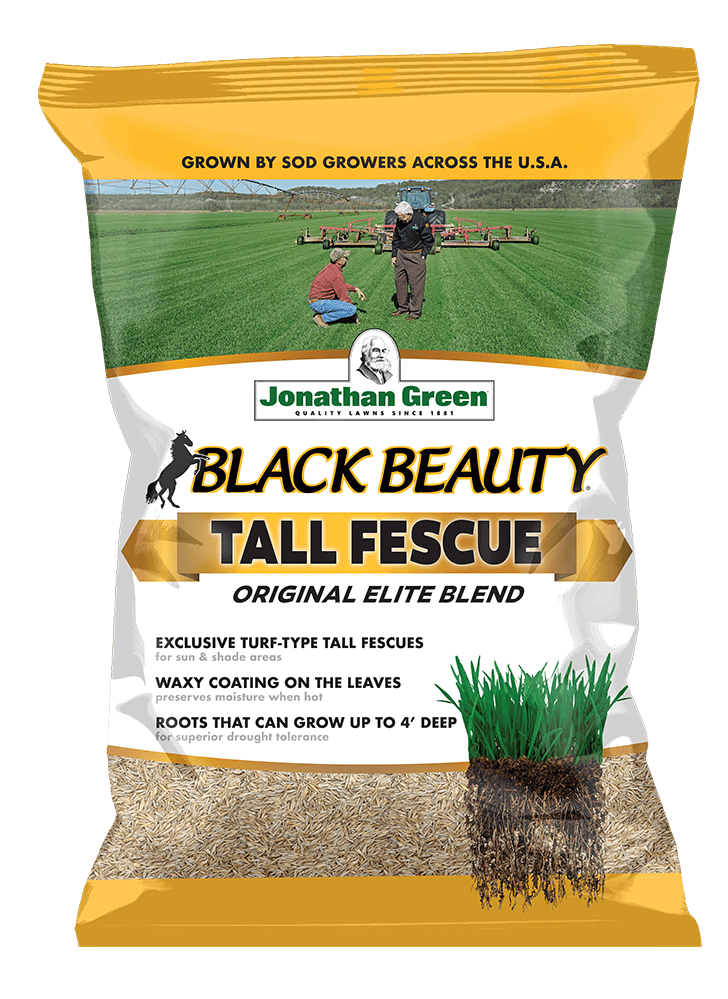 Bag of Black Beauty® Original Tall Fescue Blend seed displays images of lush grass, hardworking individuals, and detailed root visuals. Text highlights features like drought tolerance and tall growth.
