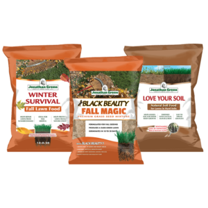 Three bags of Fall Lawn Care Bundle, including Winter Survival Fall Lawn Food, Black Beauty Grass Seed Mix, and Love Your Soil Natural Soil Food.
