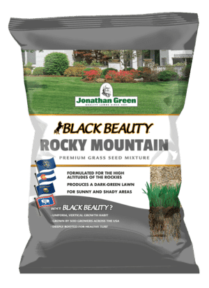 Front_of_Black_Beauty_Rocky_Mountain_Bag