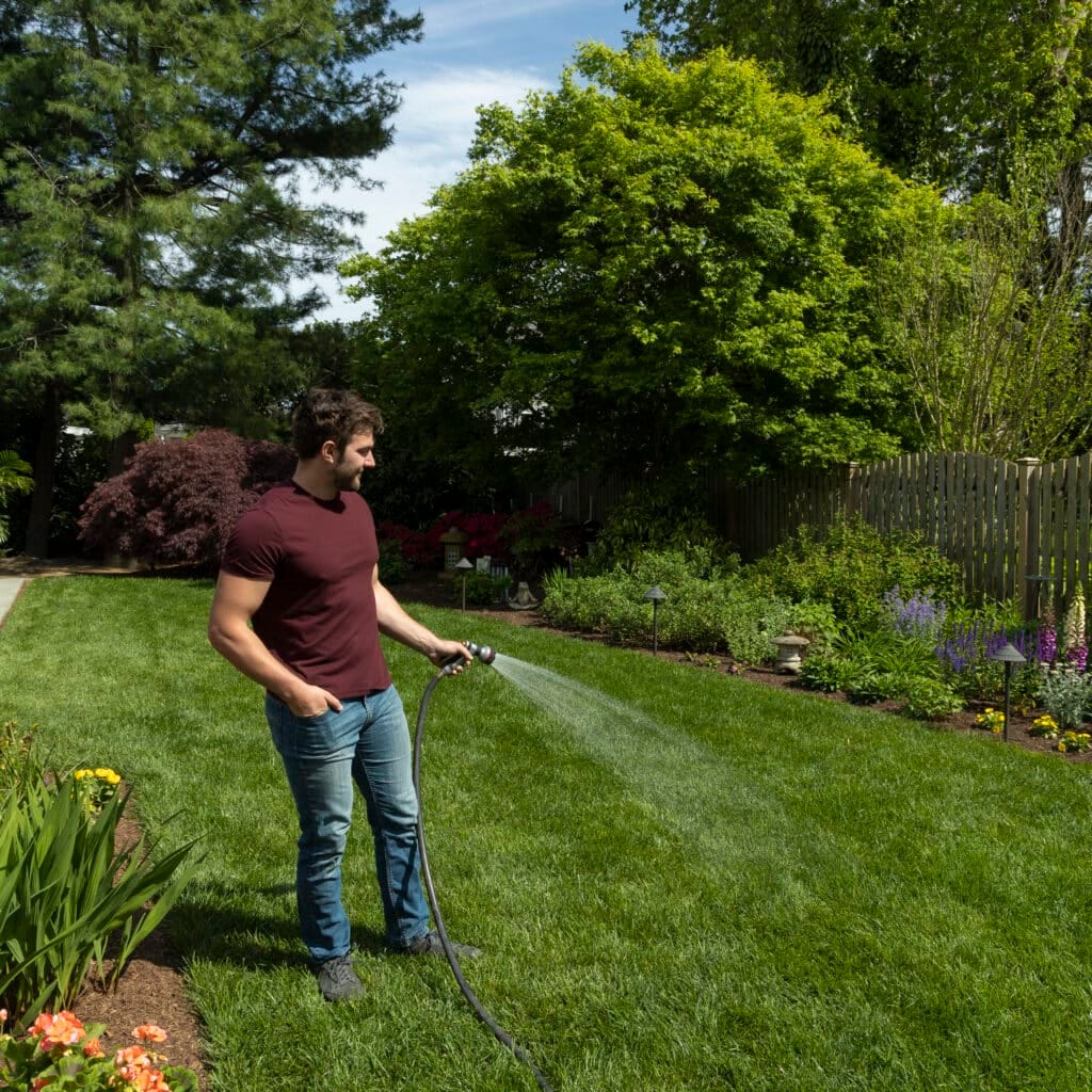 Heat Tolerant Grass Seed Mixture