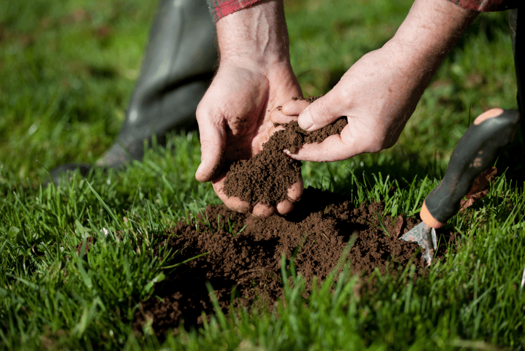 Promoting Optimal Turf Health During Sunny Conditions thumbnail