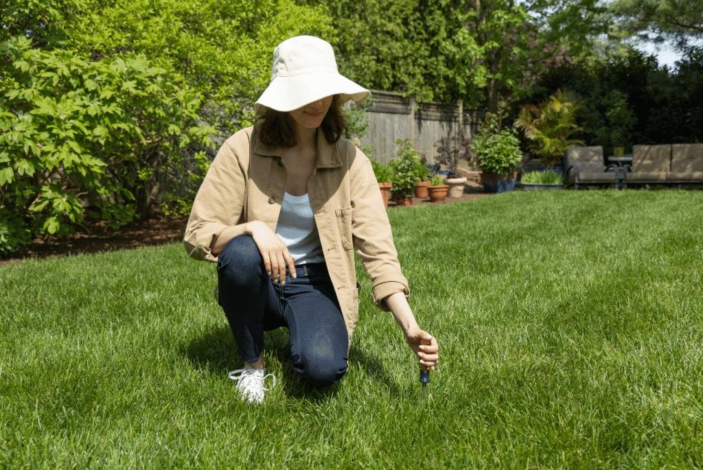 woman pushing screwdriver into lawn