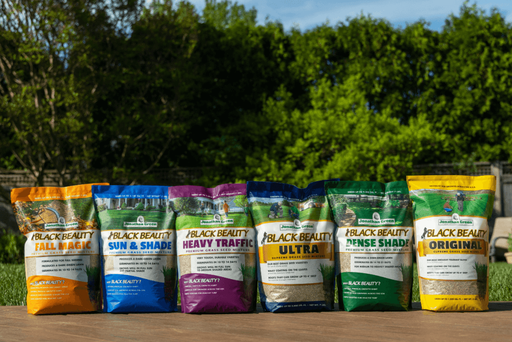 A line of seven bags of Black Beauty grass seed products displayed on a table outdoors, with grass and trees in the background.