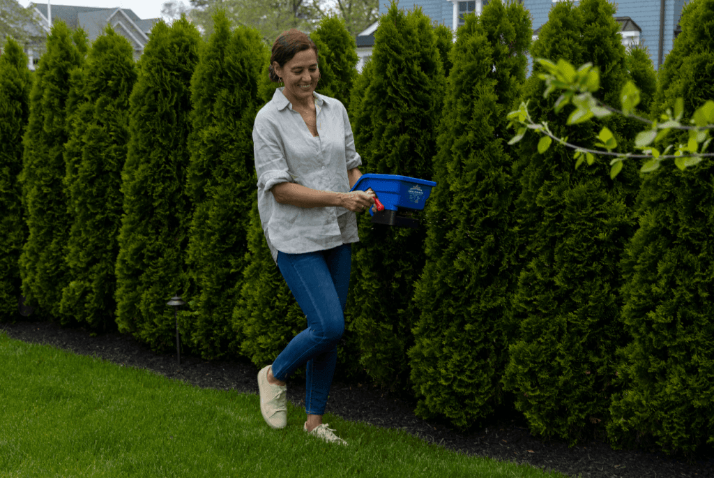 A woman in jeans and a gray shirt walks on a lawn holding a blue container, with tall green hedges in the background.