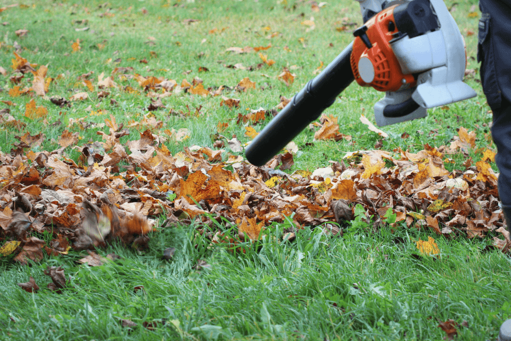 A person uses a leaf blower to clear fallen leaves from a grassy area.