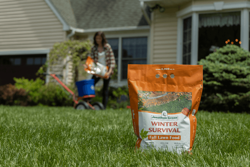 Bag of "Winter Survival" fall lawn food on grass; a person in the background preparing your lawn for winter with a spreader near a house.