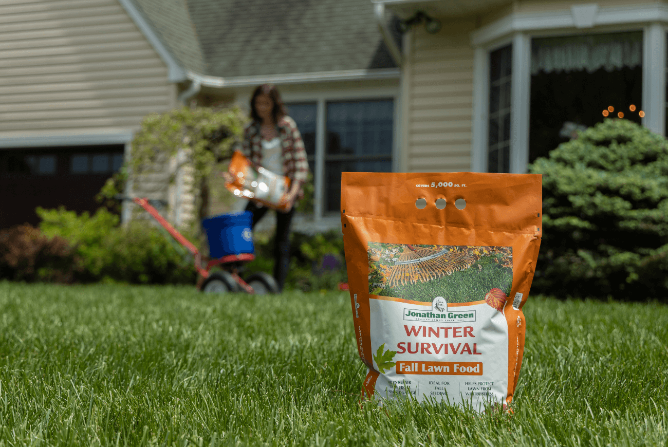 Bag of "Winter Survival" fall lawn food on grass; a person in the background preparing your lawn for winter with a spreader near a house.
