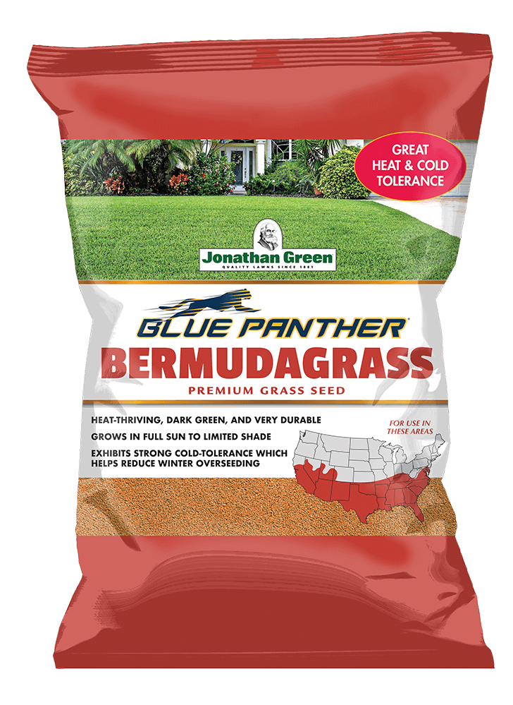 Blue Panther® Bermudagrass Seed