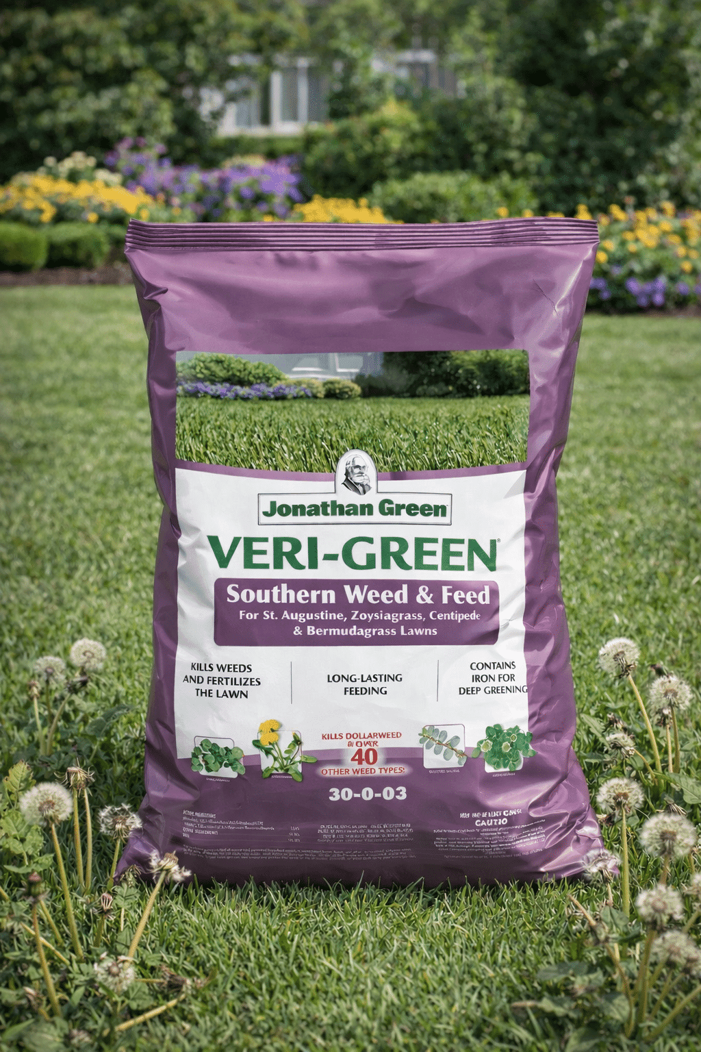 A purple bag of Veri-Green Southern Weed & Feed lawn fertilizer rests on grass with dandelions, with a garden in the background.
