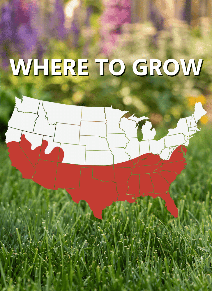 Map of the United States with southern states shaded red and "WHERE TO GROW" above, highlighting regions ideal for using Blue Panther® Patcher Southern Lawn Bare Spot Repair.