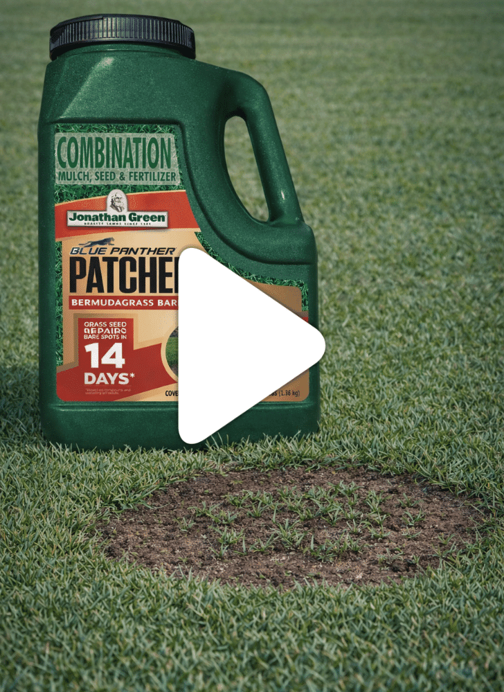 A container of Blue Panther® Patcher Southern Lawn Bare Spot Repair sits on grass near a bare patch, showcasing its effectiveness as a lawn patch repair solution for restoring damaged spots.