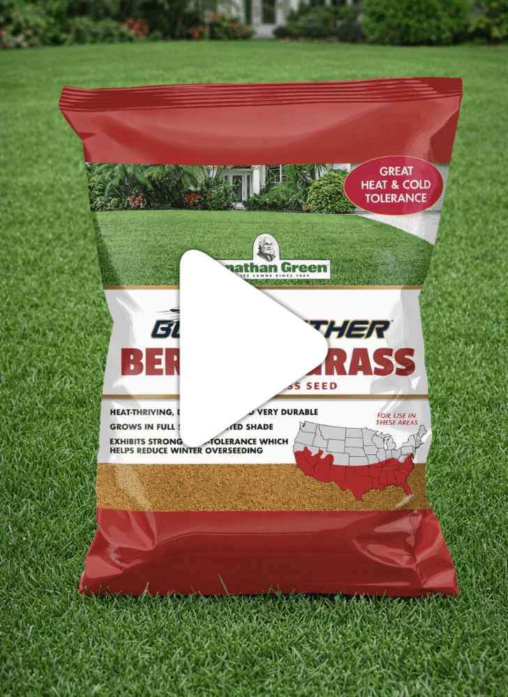 A red and white bag of Blue Panther® Bermuda Grass Seed sits on a green lawn, with a house and shrubs in the background.
