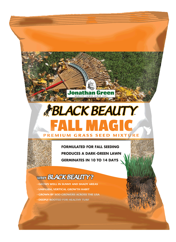 Bag of Black Beauty® Fall Magic grass seed mixture.
