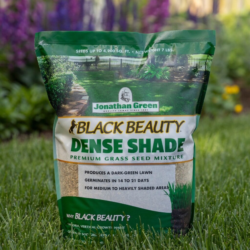 Specially Formulated Grass Seed for Shade