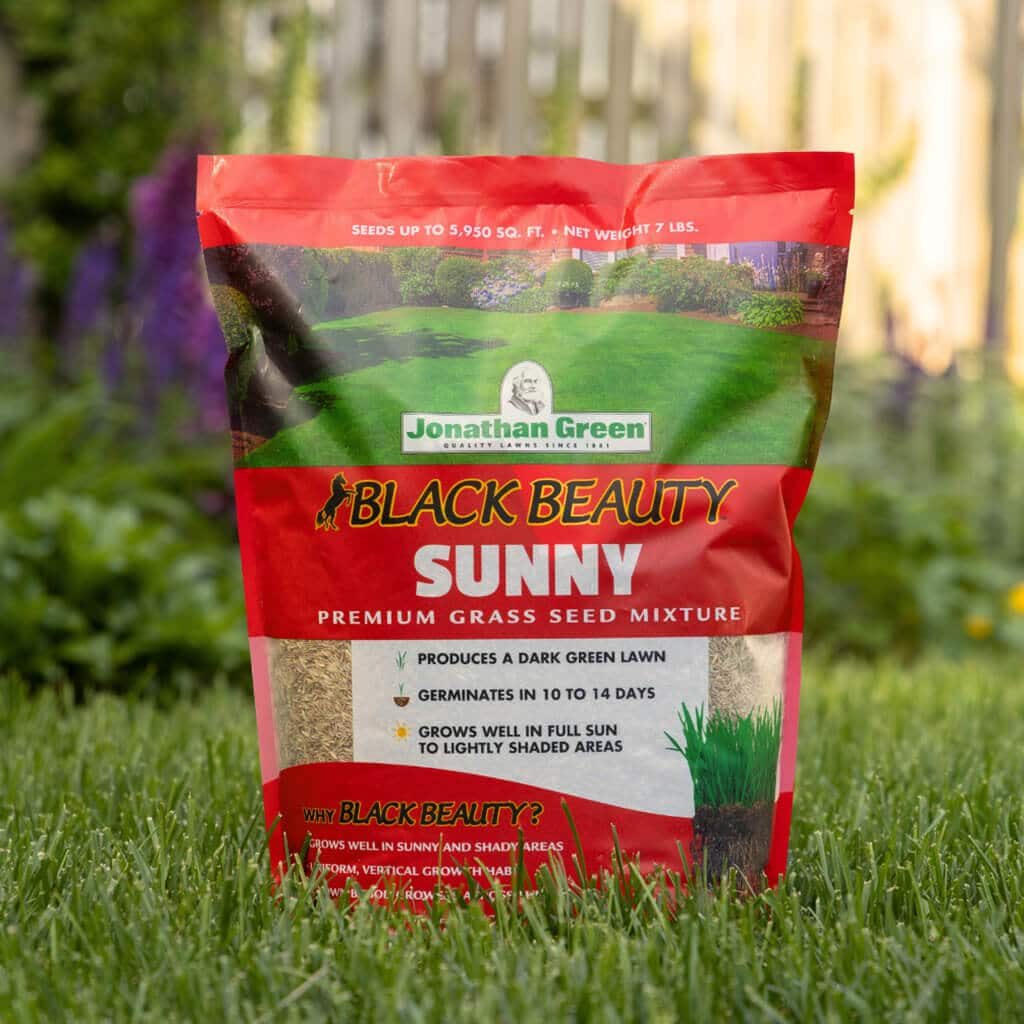 Extremely Heat and Drought Tolerant