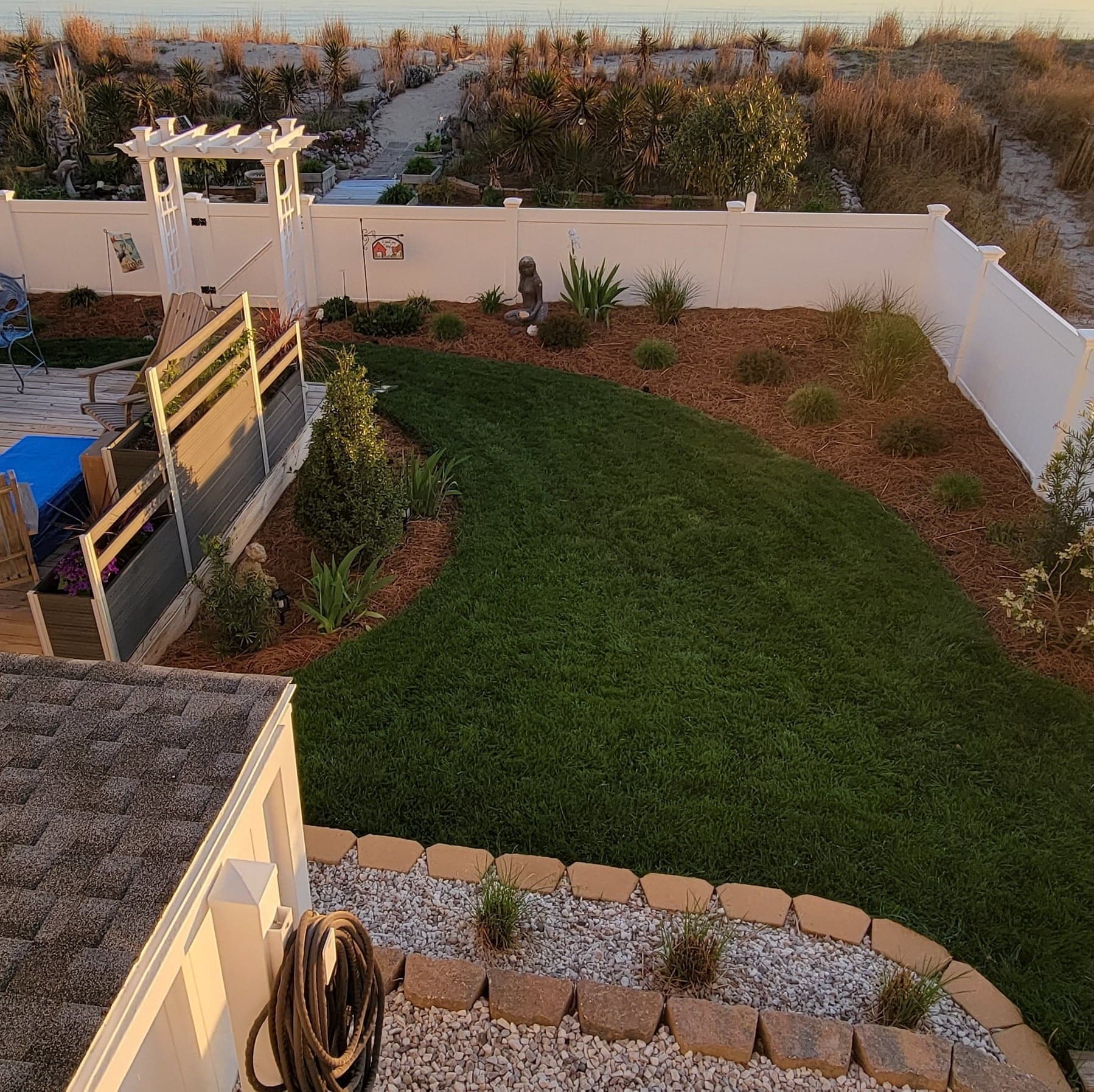 A neatly manicured backyard with lush green Black Beauty® Golden State California Grass Seed lawn, landscaping, and white fencing near a coastal area at sunset.