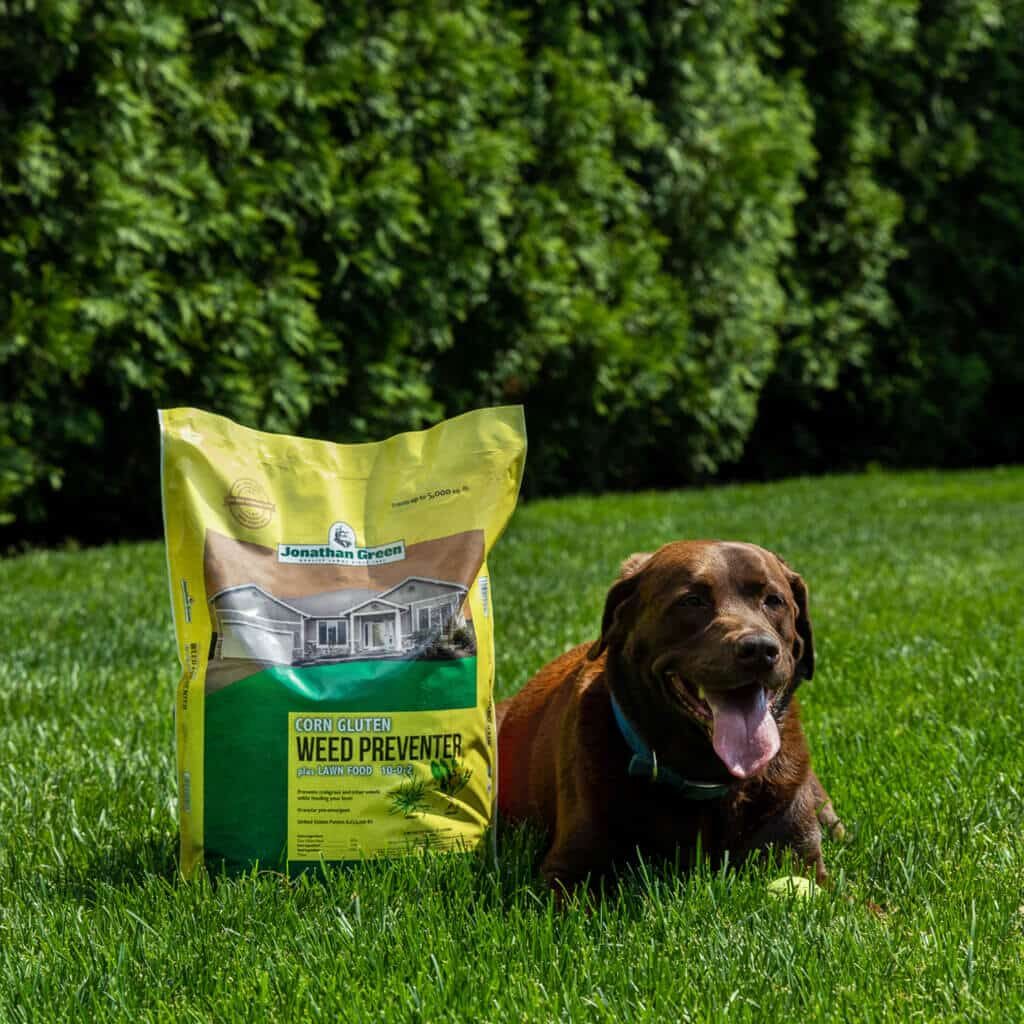 Treating New Turf Disease Risks in 2026 thumbnail