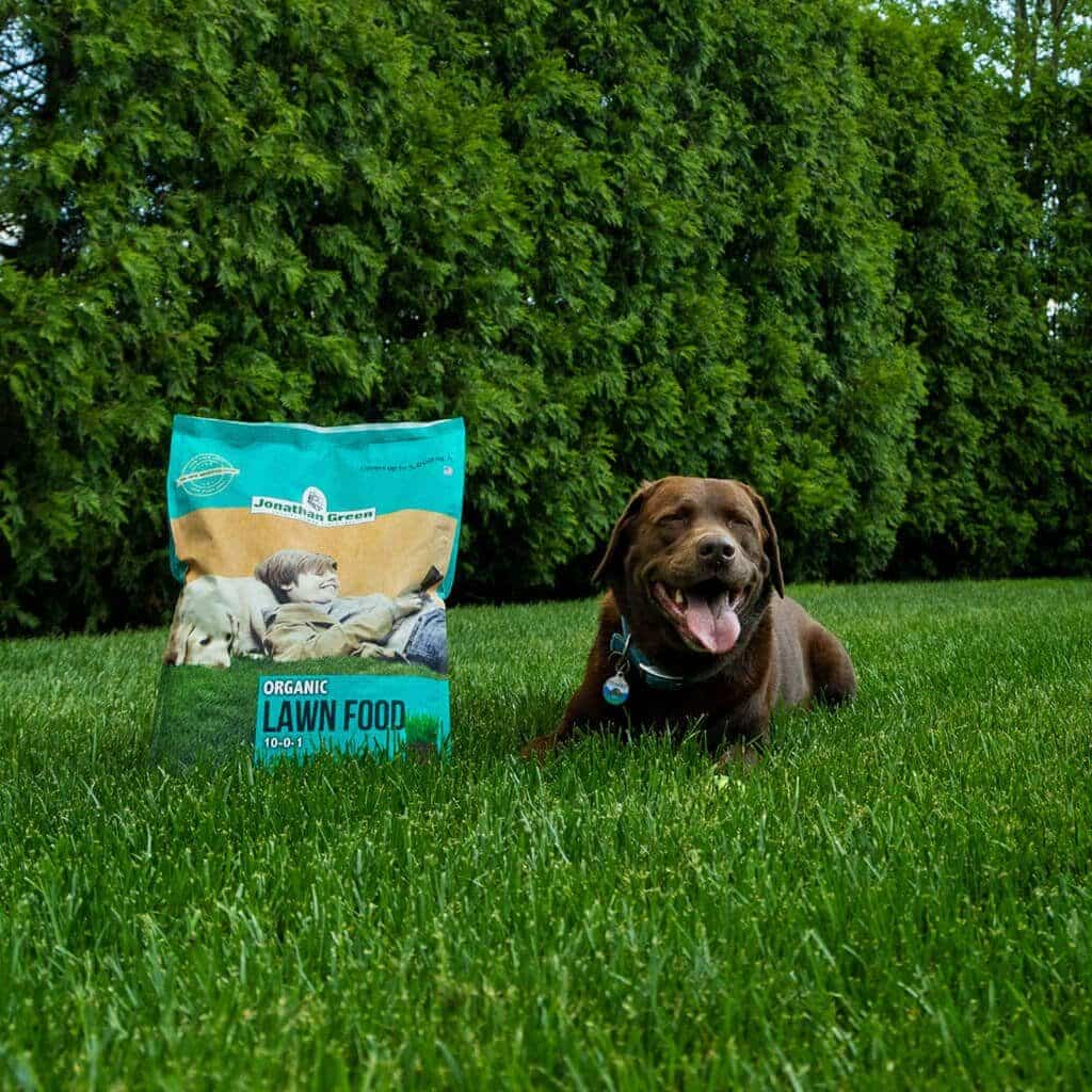 Care for Your Lawn and the Earth!