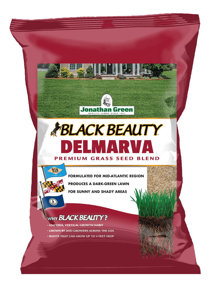 Front_of_Black_Beauty_Delmarva_Grass_Seed_Bag
