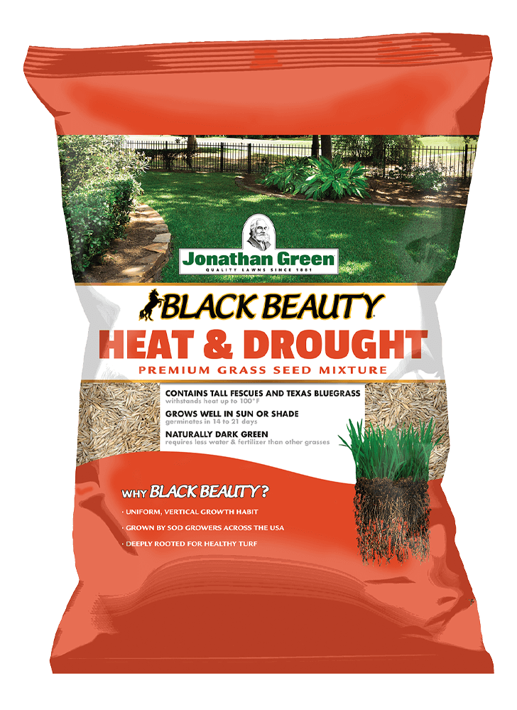 Black Beauty® Heat and Drought Resistant Grass Seed
