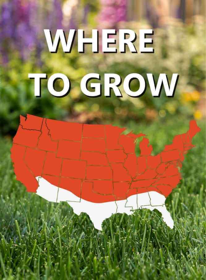 Guide on optimal regions for Black Beauty® Heat and Drought Resistant Grass Seed gardening in the United States.
