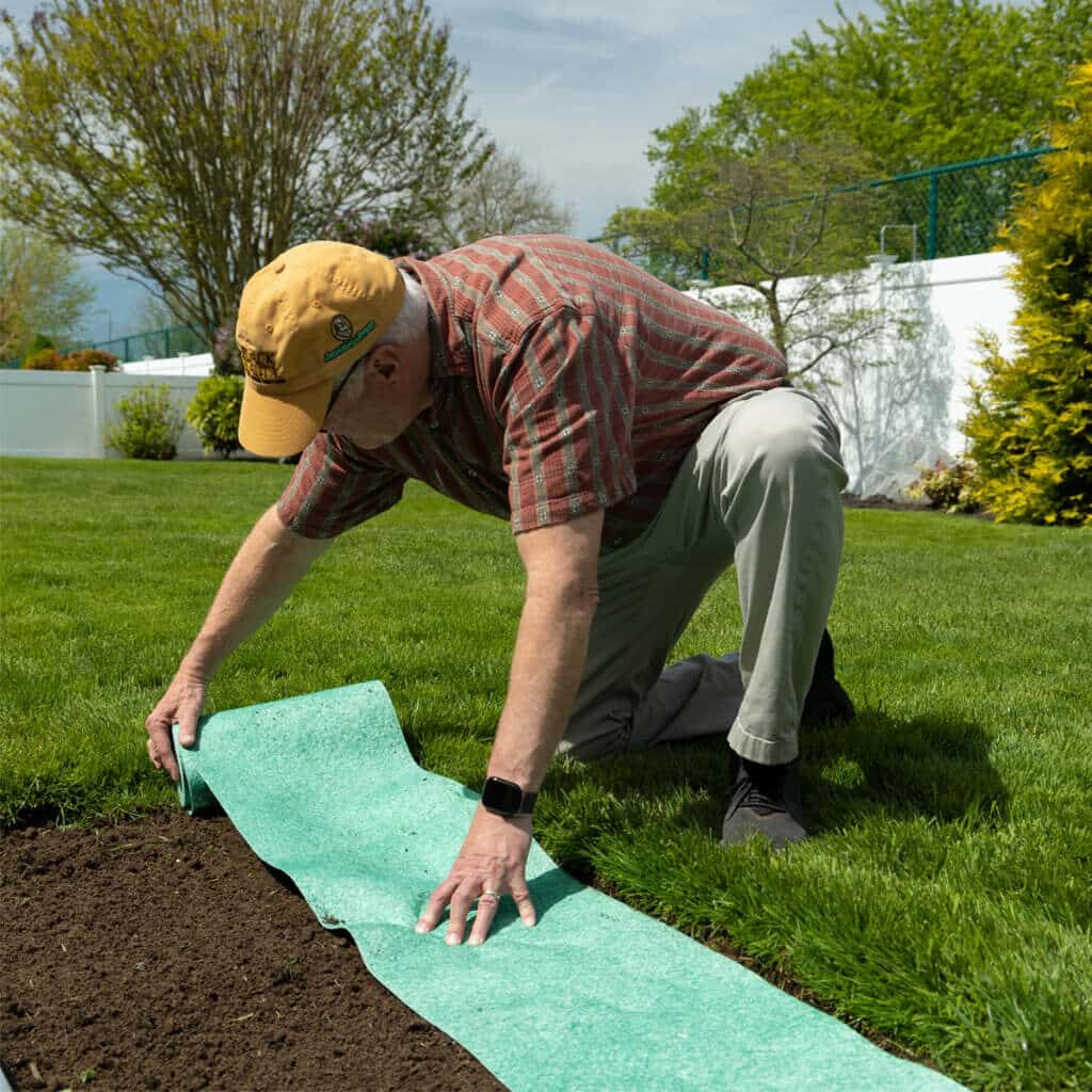 Just Roll, Water, and Watch Grow!