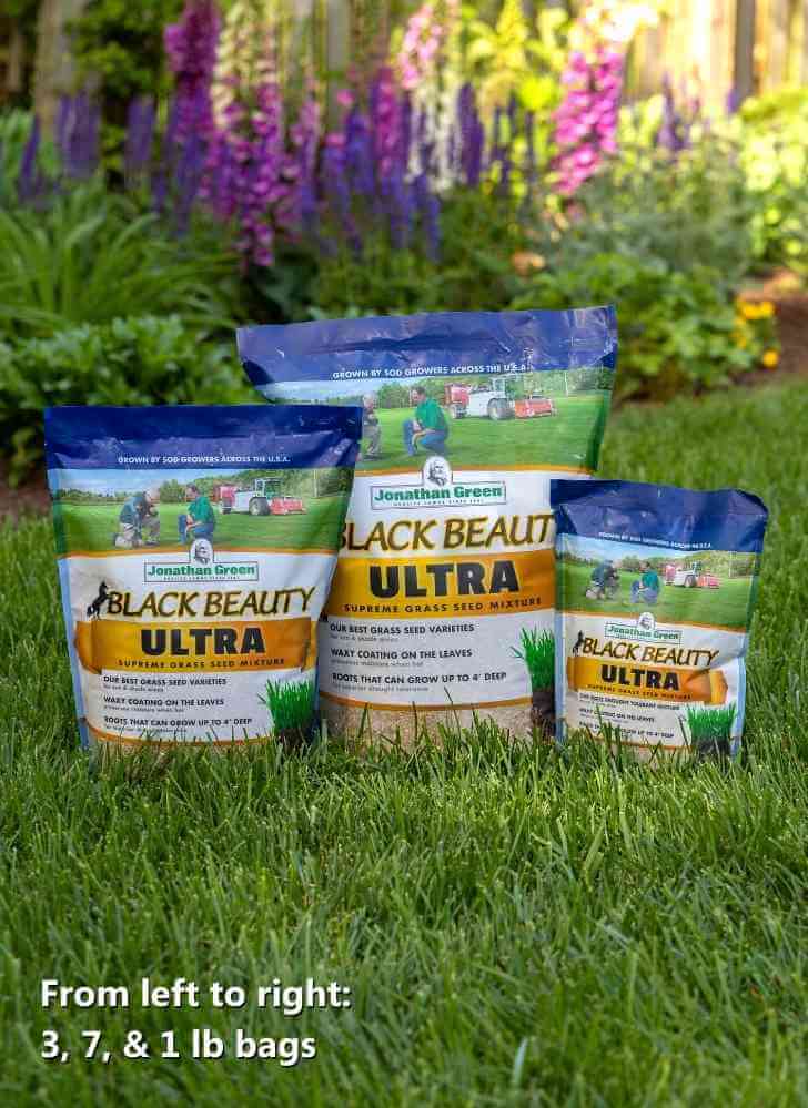 Black_Beauty_Grass_Seed_bags_1,3,7lb_on_dark_green_lawn