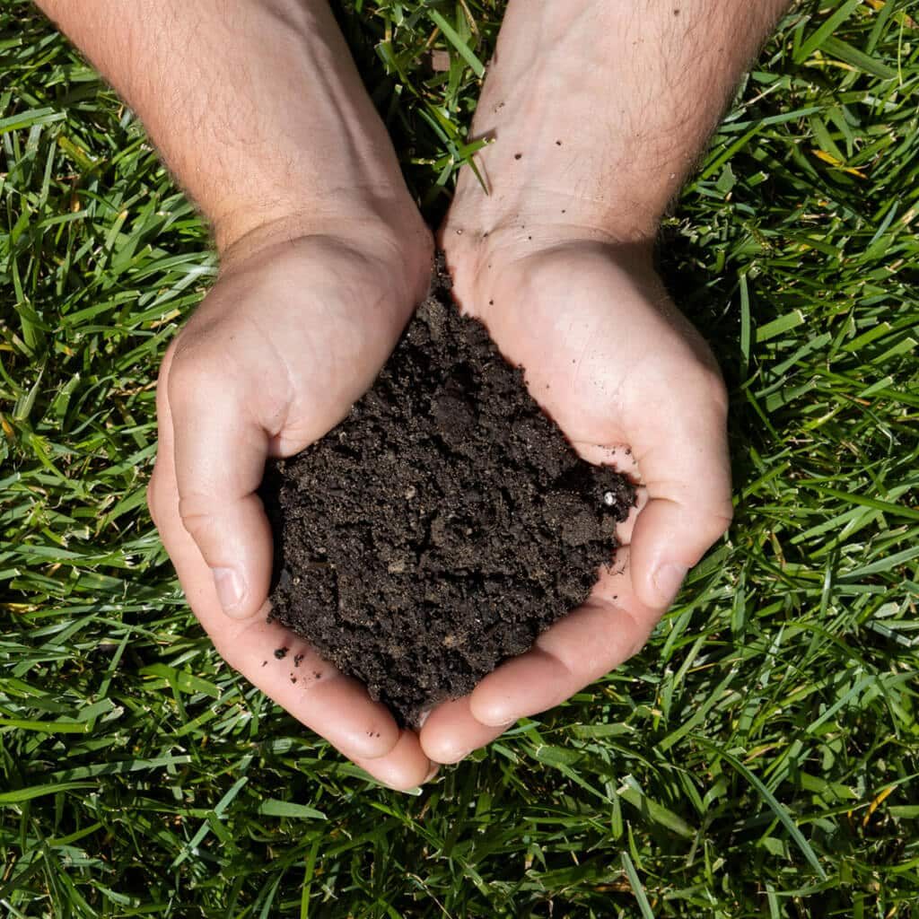 Create a Healthy Soil Environment
