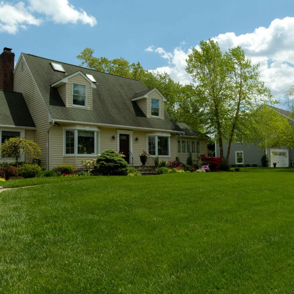 Grow a Thicker, Greener Lawn
