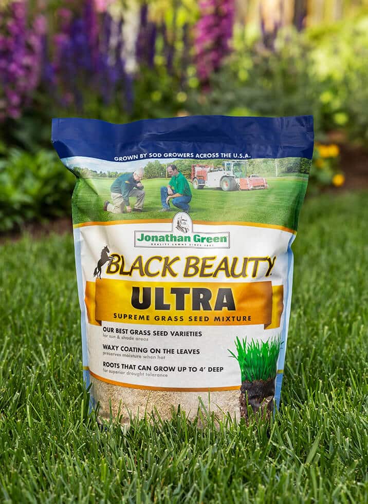 Premium Cool-Season Grass Seed