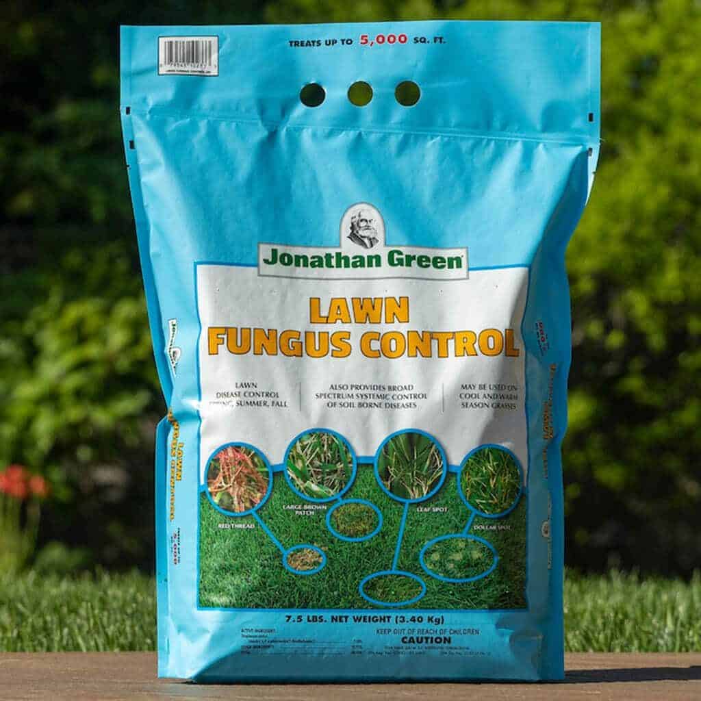 Prevent Lawn Fungus