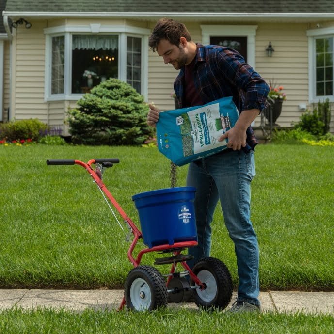 Nurture Grass Seedlings from the Start!
