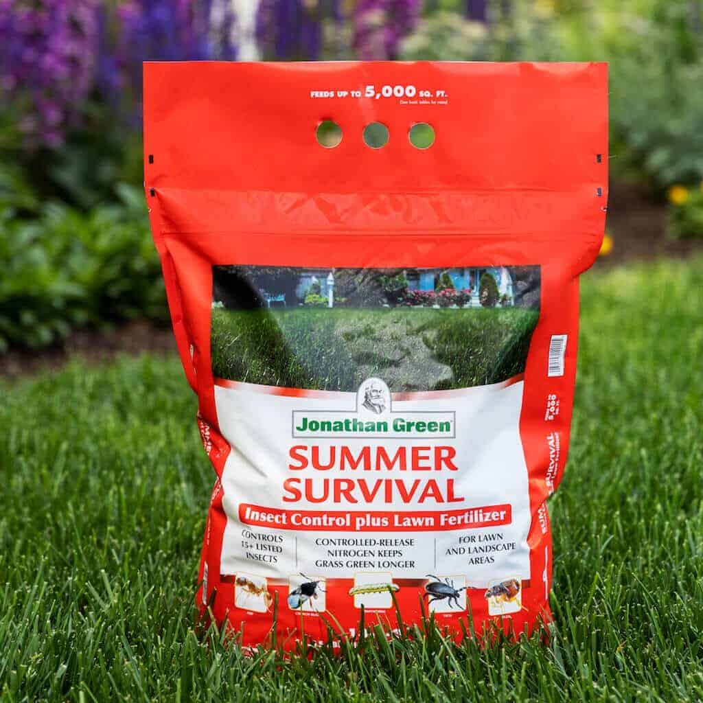Combat Summer Insects